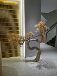 -太乙康·中式美养空间