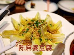 -陈麻婆豆腐(旗舰店)