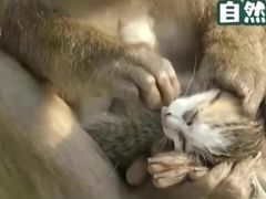 -昆明动物园