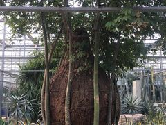 -龙达温泉生态城