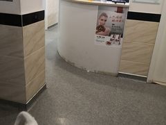 -安安宠医·安宠宠物医院