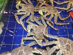 帝王蟹-79号渔船海鲜饭店(华强北店)