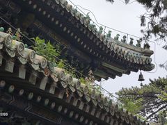 -潭柘寺景区