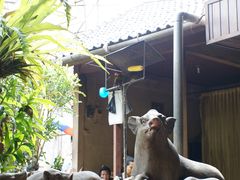 -Warung Babi Guling Ibu Oka 3