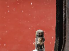 -长春观