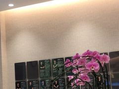 -TSK齿科德申会口腔门诊·联洋诊所