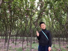 -汉景帝阳陵博物院
