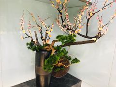 -顶福胜潮汕牛肉火锅(观沙岭店)