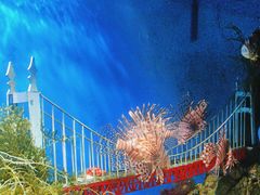 -太平洋海底世界