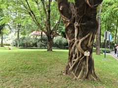 -晓港公园