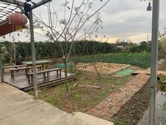 -小鱼草莓采摘园农家乐·小鱼餐厅