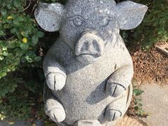 -石老人观光园