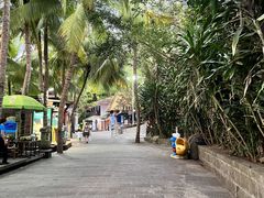 -海南分界洲岛旅游区