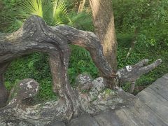 -桃园酒店