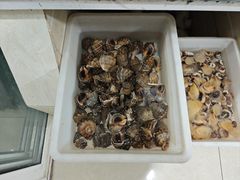 -宾朋海鲜饭庄(兴海路店)