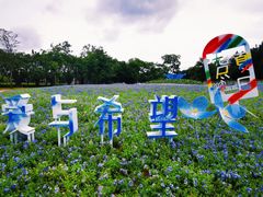 -海上田园