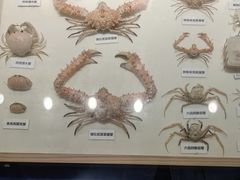 -重庆自然博物馆(新馆)