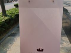 餐具摆设-BLACKSWAN黑天鹅(环球店)