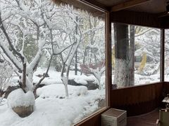 -济南国际园博园