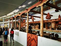 -谢列梅捷沃国际机场