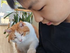 -小时光咖啡馆(北锣鼓巷店)