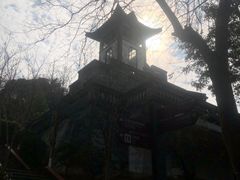 -广州神农草堂中医药博物馆
