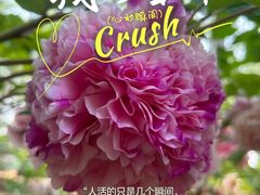 -仁和公园(顺义区)