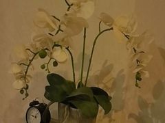 -汤臣Luck SPA按摩采耳(海派理疗公馆)