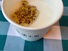 自制酸奶-紫光园(马桥店)