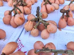 -南坛综合农贸市场