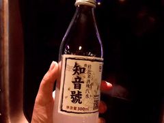 -武汉知音号