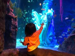 -沈阳海洋探索中心