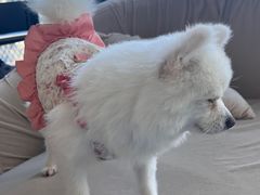 -怪兽屋·羊驼·猫咖·狗咖(俊华广场店)