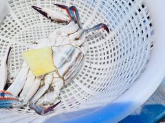 -三个渔夫·蒸汽海鲜(小白楼店)