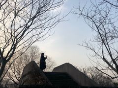 -广富林郊野公园