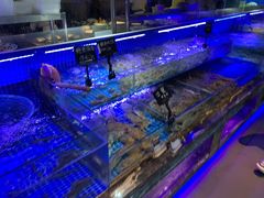 水产区-渔民船说·北塘海鲜·天津菜·海肠捞饭(北塘古镇店)