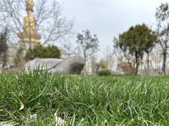 -兴隆文化园景区