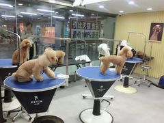 -宠物世家(仲盛世界商城店)