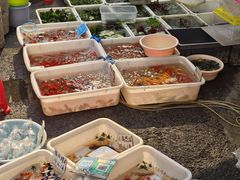 -清平路水族市场