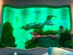 -瑞德姆美人鱼海底演艺主题餐厅(亚龙湾店)