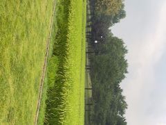 -北坞公园