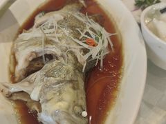 -光明邨大酒家(淮海路店)