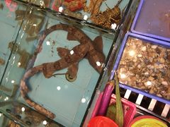 -天天海鲜城·海鲜大排档(新溪店)