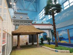 -广州融创水世界