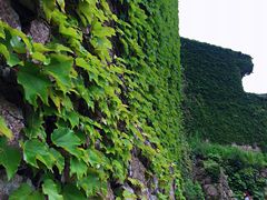 -枸杞岛