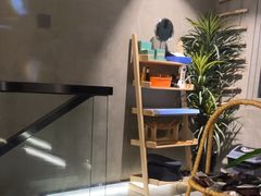 -施奈儿.洗头頭療.按摩SPA.采耳(上梅林店)