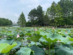 -白塘生态植物园
