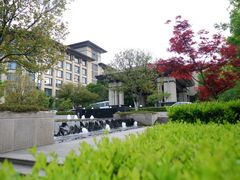 -太湖饭店玉兰厅(自助餐厅)