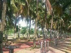 -万绿园