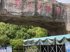 -合肥野生动物园